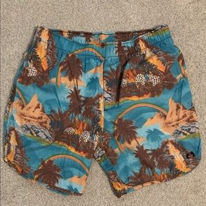 Hang Ten Swim Short